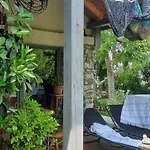 Patak Apartman, Diszel *