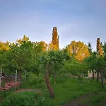 Patak Apartman, Diszel