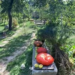 Patak Apartman, Diszel Apartment *