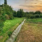 Patak Apartman, Diszel *