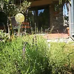 Patak Apartman, Diszel Lejlighed *