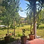 Patak Apartman, Diszel Apartment *