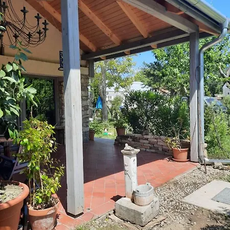 Patak Apartman, Diszel * Ταπόλκα