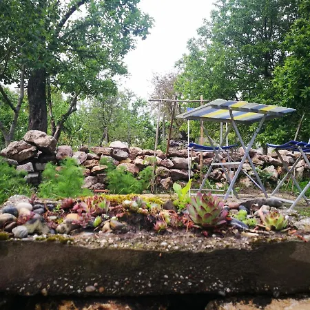 Patak Apartman, Diszel Ταπόλκα