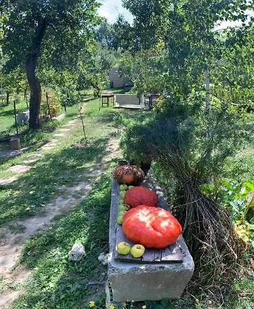 Patak Apartman, Diszel Apartamento *