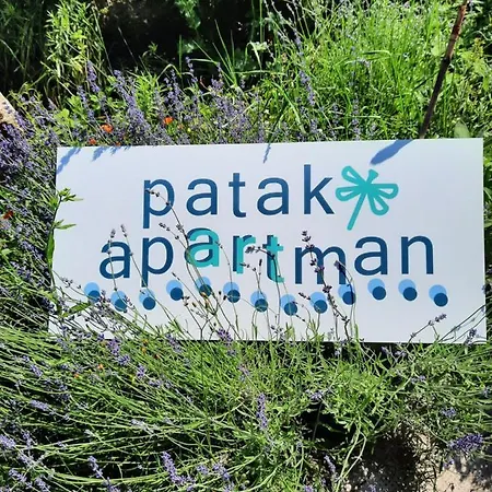 Patak Apartman, Diszel