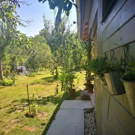 Patak Apartman, Diszel 터폴차