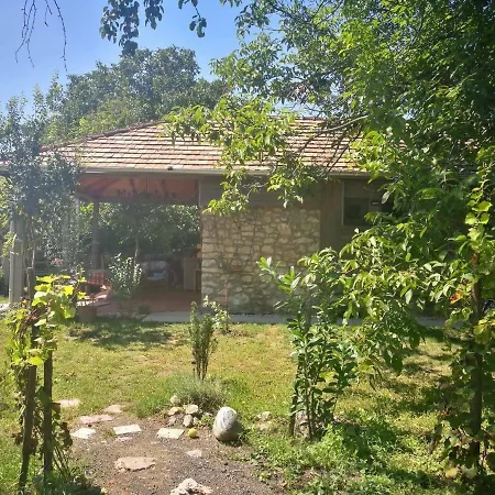 Patak Apartman, Diszel * Tapolca
