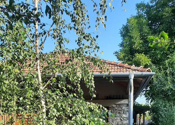 Patak Apartman, Diszel Lägenhet