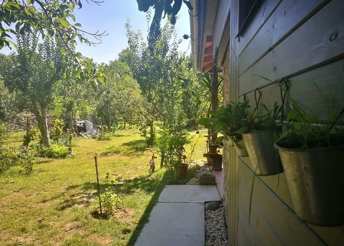 Patak Apartman, Diszel Tapolca